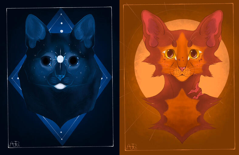 Lineless illustration